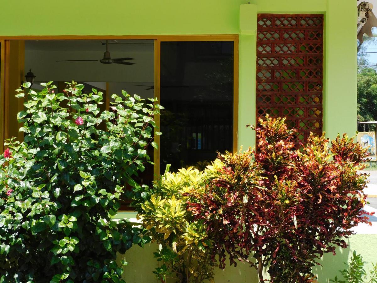 ホテル Casa De Huespedes Yoli By Rotamundos Playa Chachalacas エクステリア 写真
